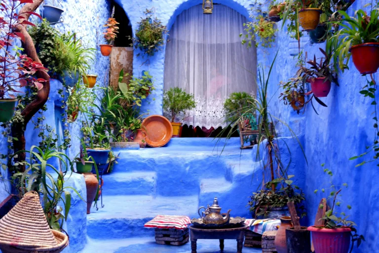 caravora Chefchaouen blue city 1